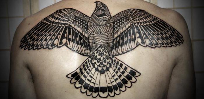 Tattoo "Falcon": funkciók, leírás, fotó