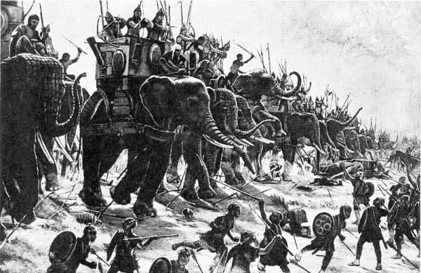 Indiai háborús elefántok: leírás, történelem és érdekes tények