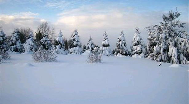 a tundra és az erdő-tundra klíma