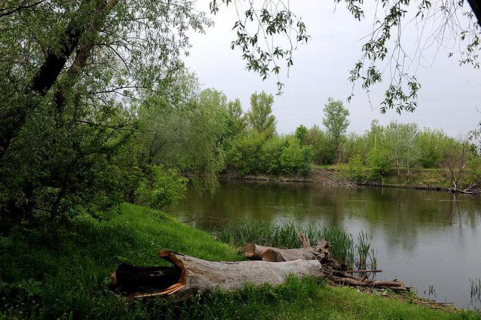 Donetsk régió folyó Calmius