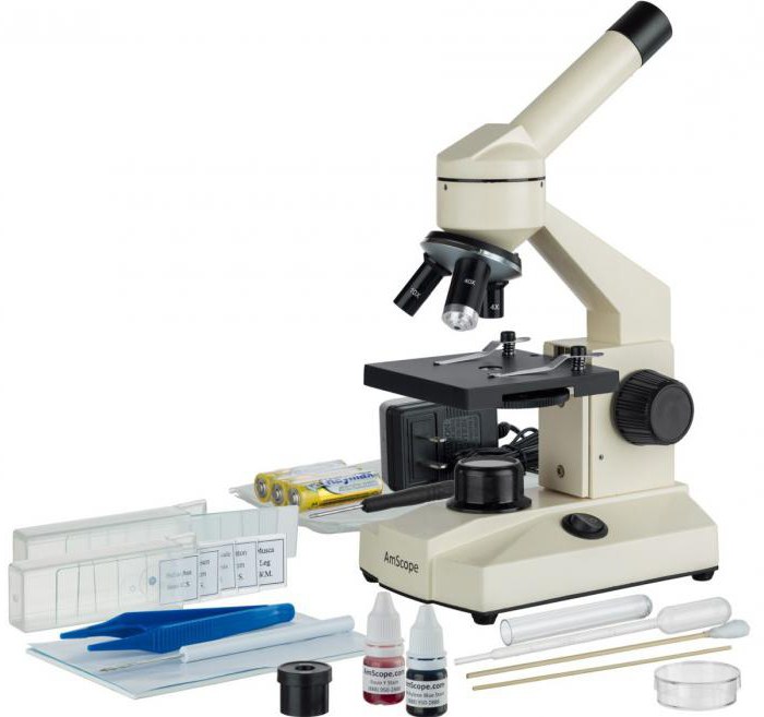 mikroszkópok az iskolások számára