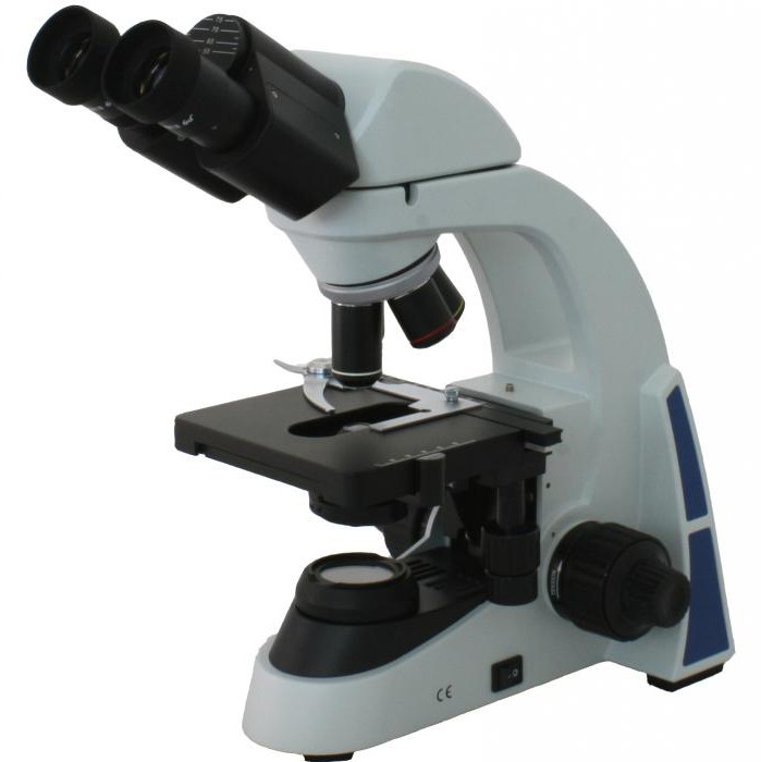 Mikroszkóp kiválasztása iskoláskorban?