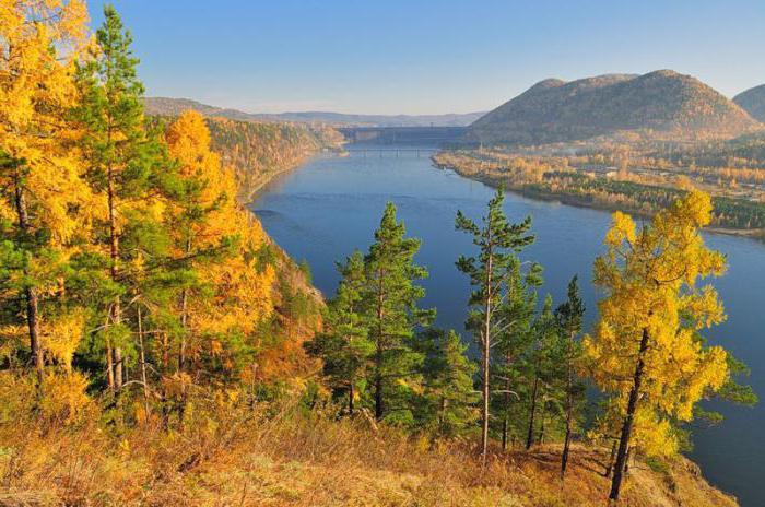 Melyik folyó hosszabb - a Volga vagy a Jenisei? Két folyó jellemzői