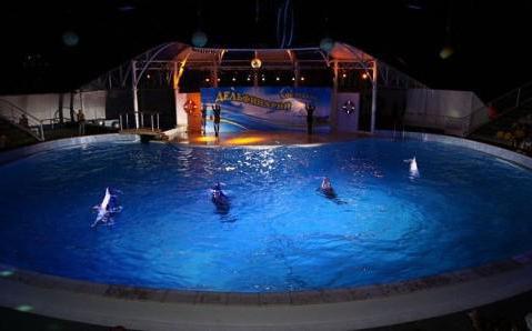 Dolphinarium Koktebelben - érdekes hely