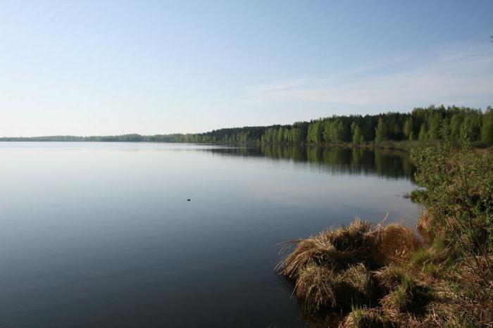 White Lake Ryazan