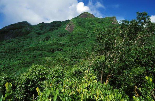 Seychelles: látnivalók, köztársaság leírása