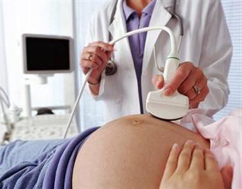Hogyan számoljuk ki a gyermek súlyát hetekben a terhesség idején?